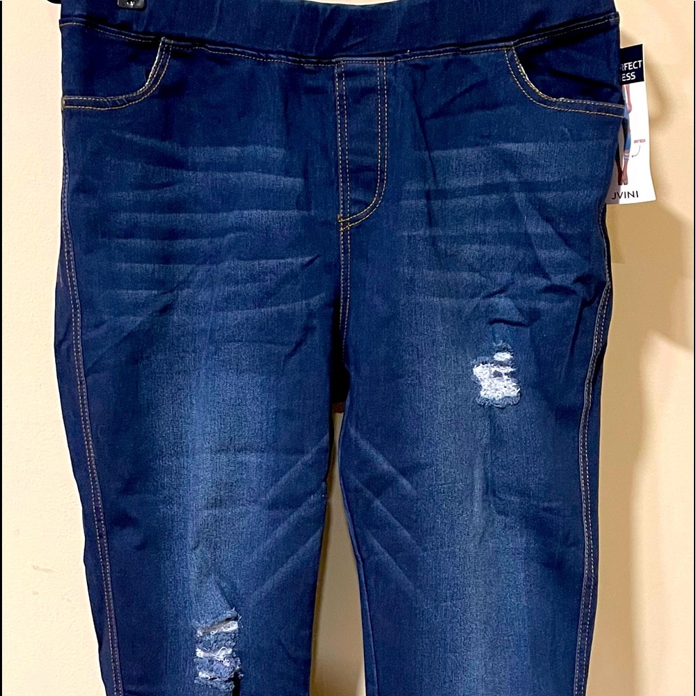 Plus Size Ladies Jean Jeggings